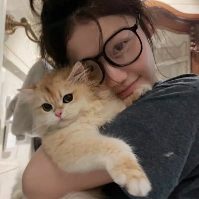 全职猎人